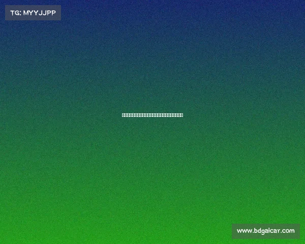 英超赛季触球数排行分析：球员表现与战术影响全解析