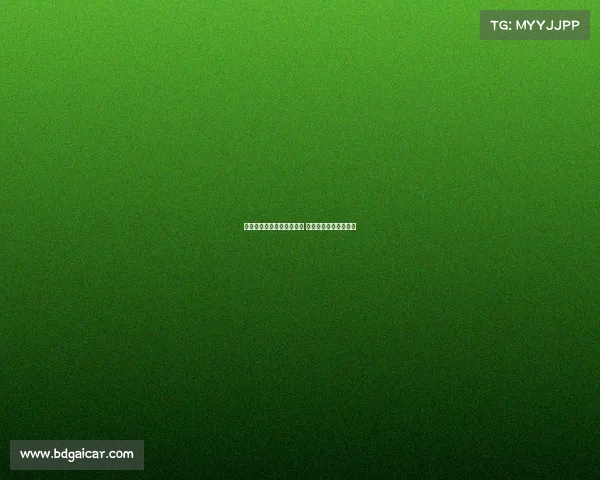 石宇奇翁泓阳连胜中法对决 国羽男单锁定四强席位